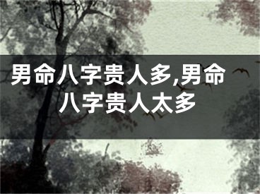 男命八字贵人多,男命八字贵人太多