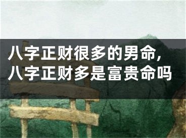 八字正财很多的男命,八字正财多是富贵命吗