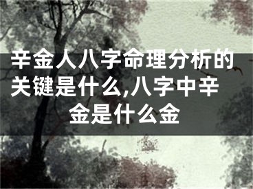 辛金人八字命理分析的关键是什么,八字中辛金是什么金