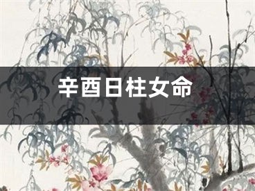 辛酉日柱女命