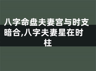 八字命盘夫妻宫与时支暗合,八字夫妻星在时柱