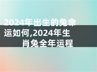 2024年出生的兔命运如何,2024年生肖兔全年运程