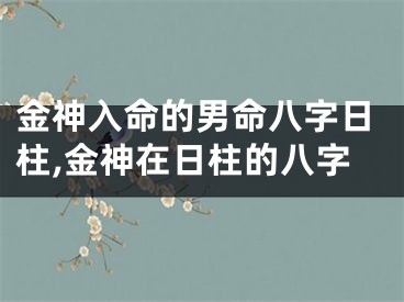 金神入命的男命八字日柱,金神在日柱的八字