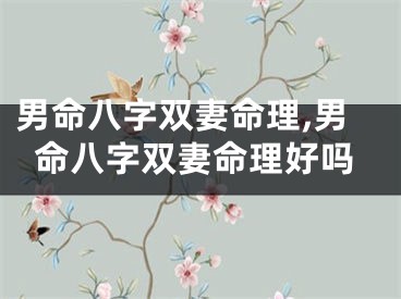 男命八字双妻命理,男命八字双妻命理好吗