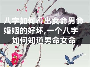 八字如何看出女命男命婚姻的好坏,一个八字如何知道男命女命
