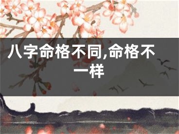 八字命格不同,命格不一样