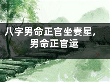 八字男命正官坐妻星,男命正官运
