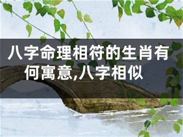 八字命理相符的生肖有何寓意,八字相似