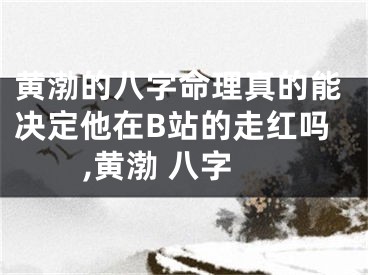 黄渤的八字命理真的能决定他在B站的走红吗,黄渤 八字