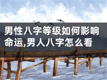 男性八字等级如何影响命运,男人八字怎么看