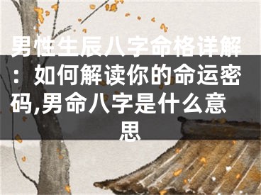 男性生辰八字命格详解：如何解读你的命运密码,男命八字是什么意思