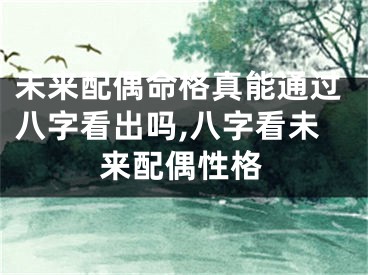 未来配偶命格真能通过八字看出吗,八字看未来配偶性格