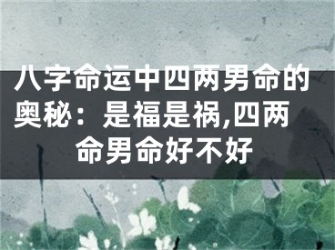 八字命运中四两男命的奥秘：是福是祸,四两命男命好不好