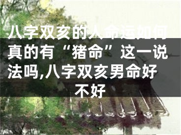 八字双亥的人命运如何真的有“猪命”这一说法吗,八字双亥男命好不好