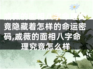 戚薇的面相八字命理究竟隐藏着怎样的命运密码,戚薇的面相八字命理究竟怎么样