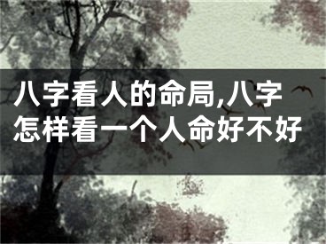 八字看人的命局,八字怎样看一个人命好不好
