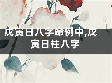 戊寅日八字命例中,戊寅日柱八字