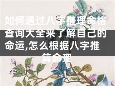如何通过八字推理命格查询大全来了解自己的命运,怎么根据八字推算命理