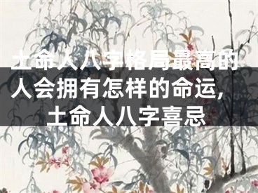 土命人八字格局最高的人会拥有怎样的命运,土命人八字喜忌