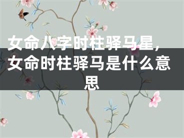女命八字时柱驿马星,女命时柱驿马是什么意思