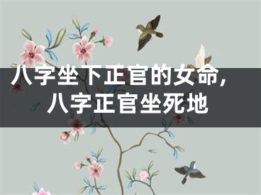 八字坐下正官的女命,八字正官坐死地