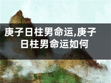 庚子日柱男命运,庚子日柱男命运如何