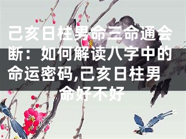 己亥日柱男命三命通会断：如何解读八字中的命运密码,己亥日柱男命好不好