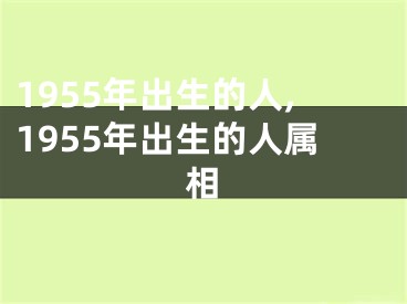 1955年出生的人,1955年出生的人属相