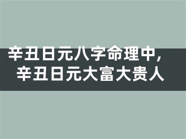辛丑日元八字命理中,辛丑日元大富大贵人