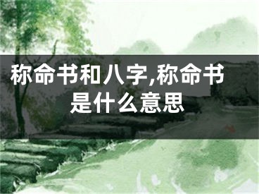 称命书和八字,称命书是什么意思