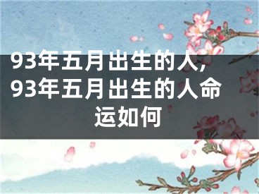93年五月出生的人,93年五月出生的人命运如何