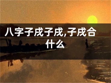 八字子戌子戌,子戌合什么