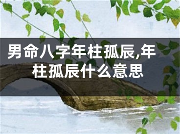 男命八字年柱孤辰,年柱孤辰什么意思