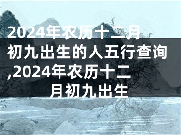 2024年农历十二月初九出生的人五行查询,2024年农历十二月初九出生