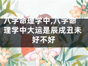 八字命理学中,八字命理学中大运是辰戌丑未好不好