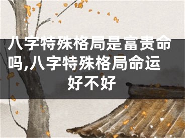 八字特殊格局是富贵命吗,八字特殊格局命运好不好