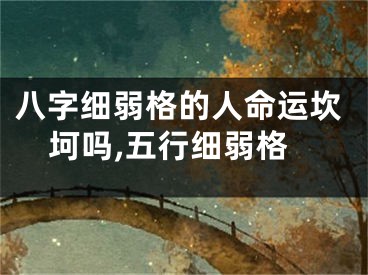 八字细弱格的人命运坎坷吗,五行细弱格