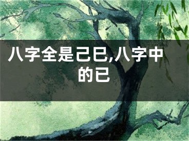 八字全是己巳,八字中的已