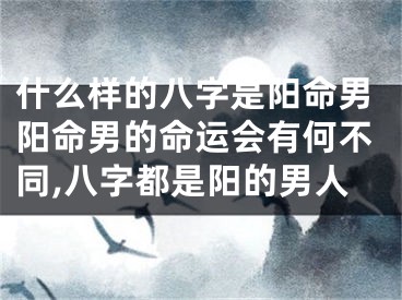 什么样的八字是阳命男阳命男的命运会有何不同,八字都是阳的男人