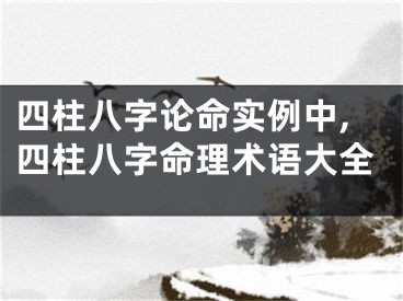 四柱八字论命实例中,四柱八字命理术语大全
