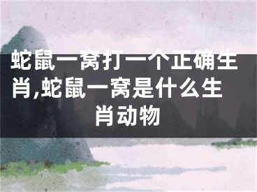 蛇鼠一窝打一个正确生肖,蛇鼠一窝是什么生肖动物