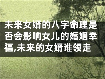 未来女婿的八字命理是否会影响女儿的婚姻幸福,未来的女婿谁领走
