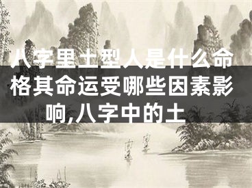 八字里土型人是什么命格其命运受哪些因素影响,八字中的土