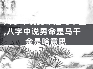 八字中说男命是马千金,八字中说男命是马千金是啥意思