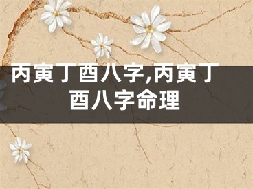丙寅丁酉八字,丙寅丁酉八字命理