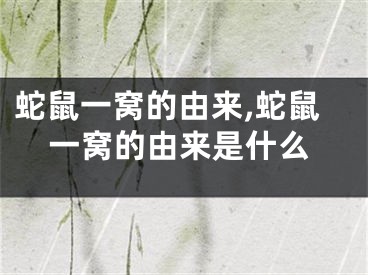 蛇鼠一窝的由来,蛇鼠一窝的由来是什么