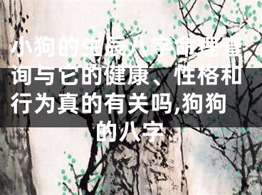 小狗的生辰八字命理查询与它的健康、性格和行为真的有关吗,狗狗的八字