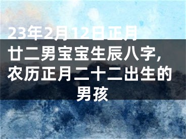 23年2月12日正月廿二男宝宝生辰八字,农历正月二十二出生的男孩