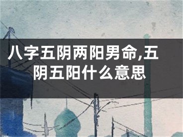 八字五阴两阳男命,五阴五阳什么意思
