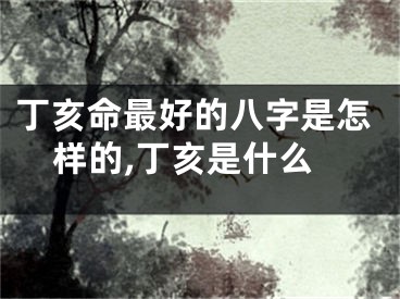 丁亥命最好的八字是怎样的,丁亥是什么